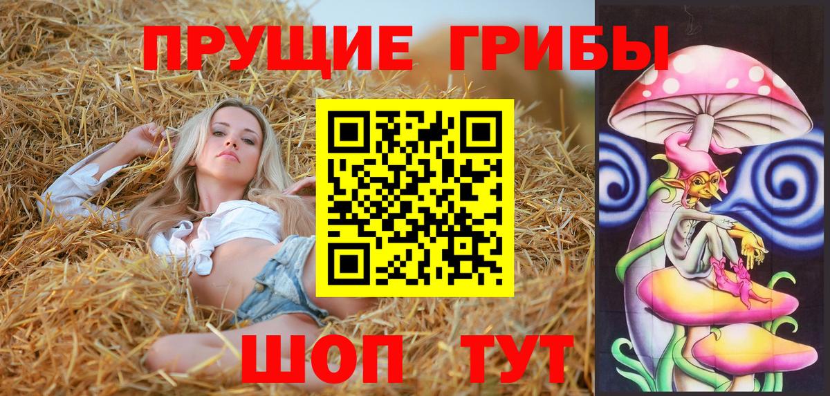 Псилоцибиновые грибы мицелий Урус-Мартан