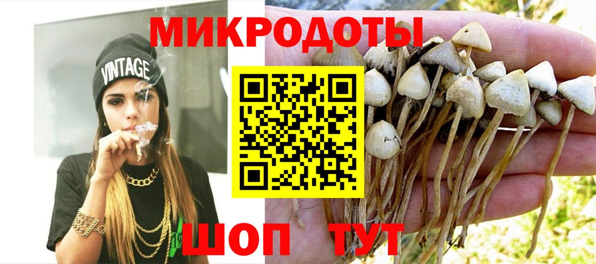 Галлюциногенные грибы прущие грибы  Вход с VPN  Урус-Мартан 